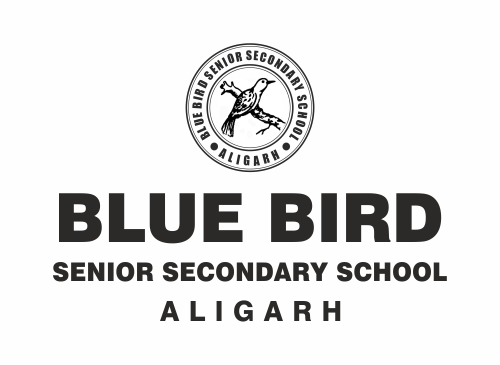 Blue Bird Senior Secondary School
